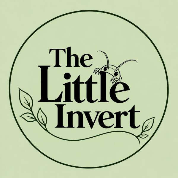 The Little Invert